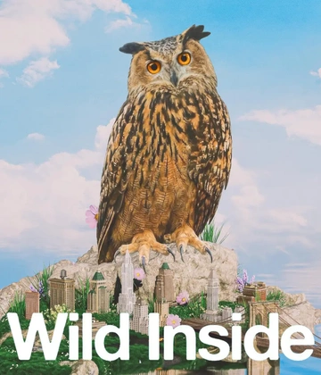Wild Inside